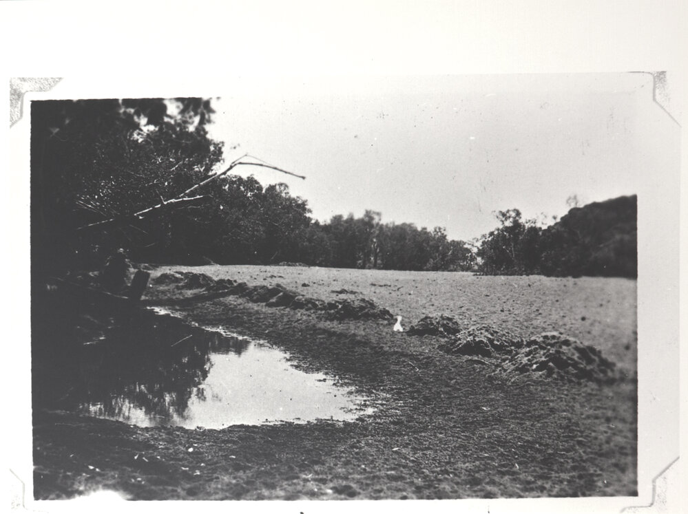 A " Mickerie" or Trench for watering Stock. Eagle Hawk Gorge