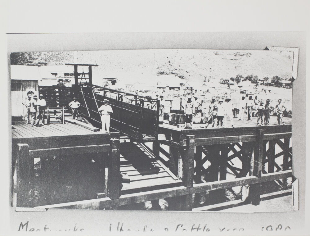 Meatworks - Wharf and cattle race