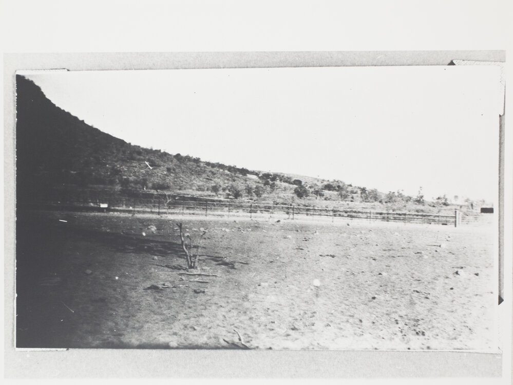 New Holding Yards at Meatworks