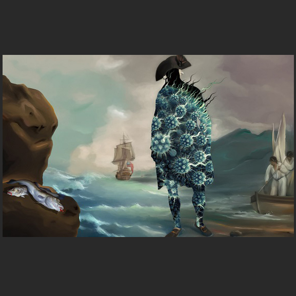 They all look the same to me