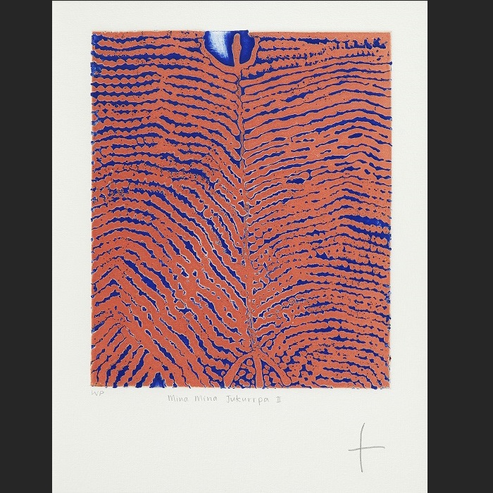 Mina Mina Jukurrpa II 