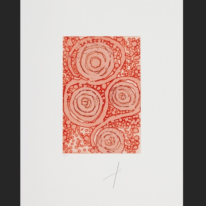 Warlu Jukurrpa [Fire Dreaming]