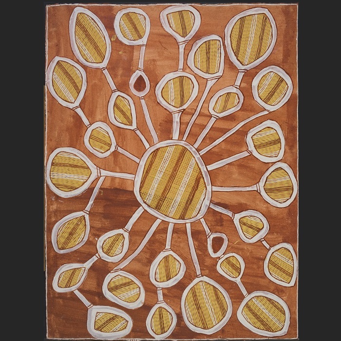 Boplinymarr (Water map of cadell Rive area)