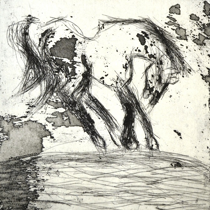 Horse at Docker River