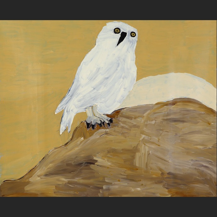 The owl