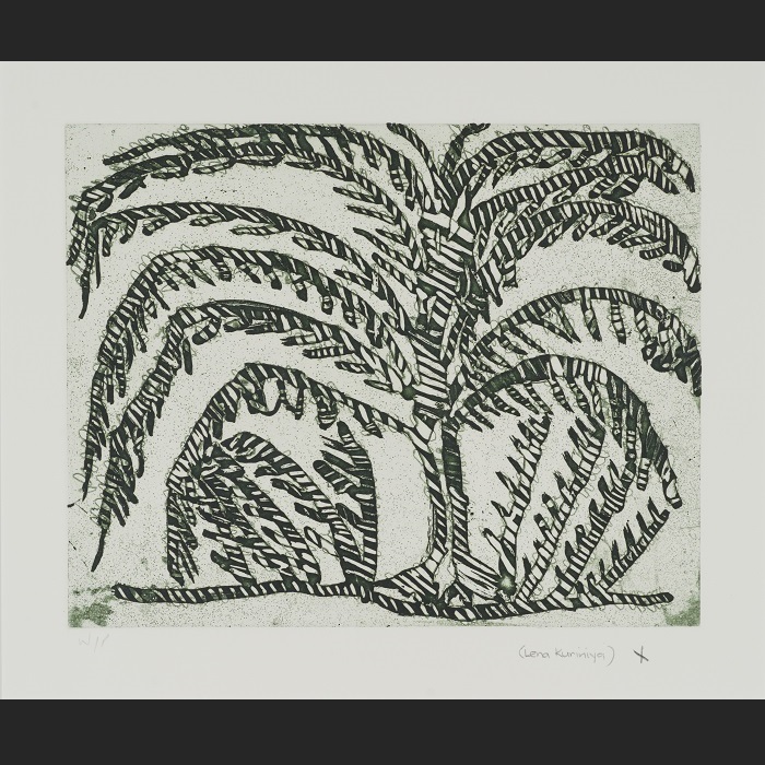 Djendek [Livistonia plam; sand palm]
