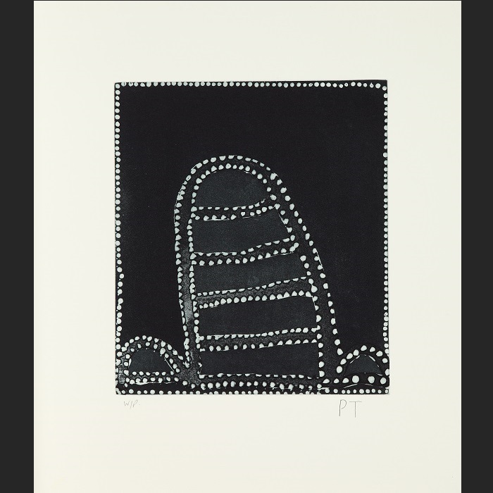 Blue tongue Lizard Dreaming