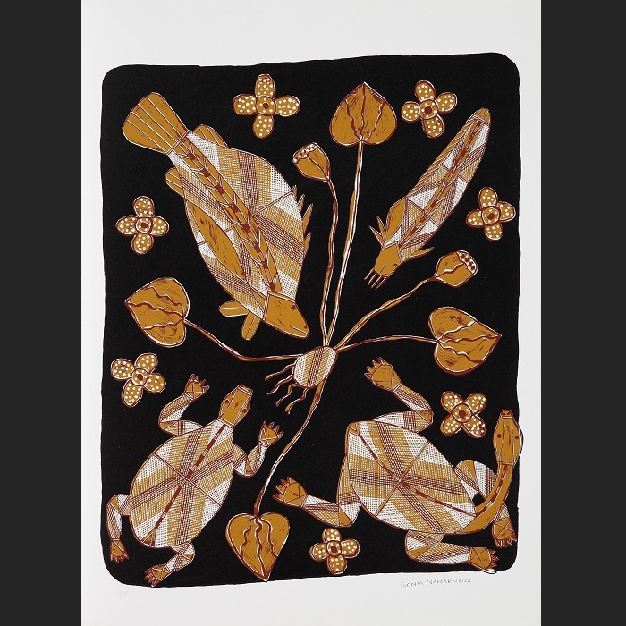 Mayh burrburr [Turtle and fish]