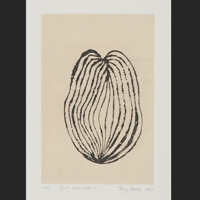 Fruit and seeds 1