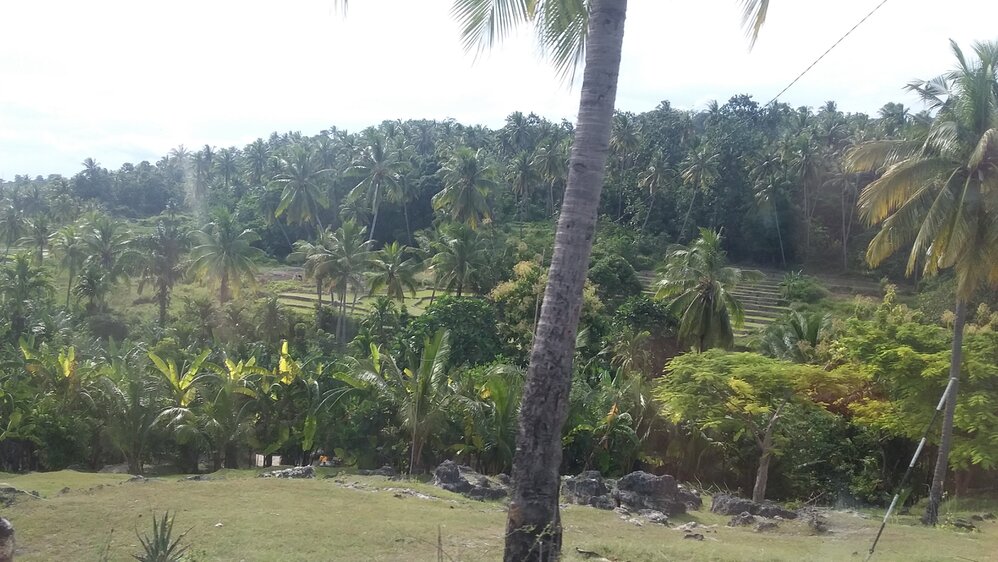 Timor village