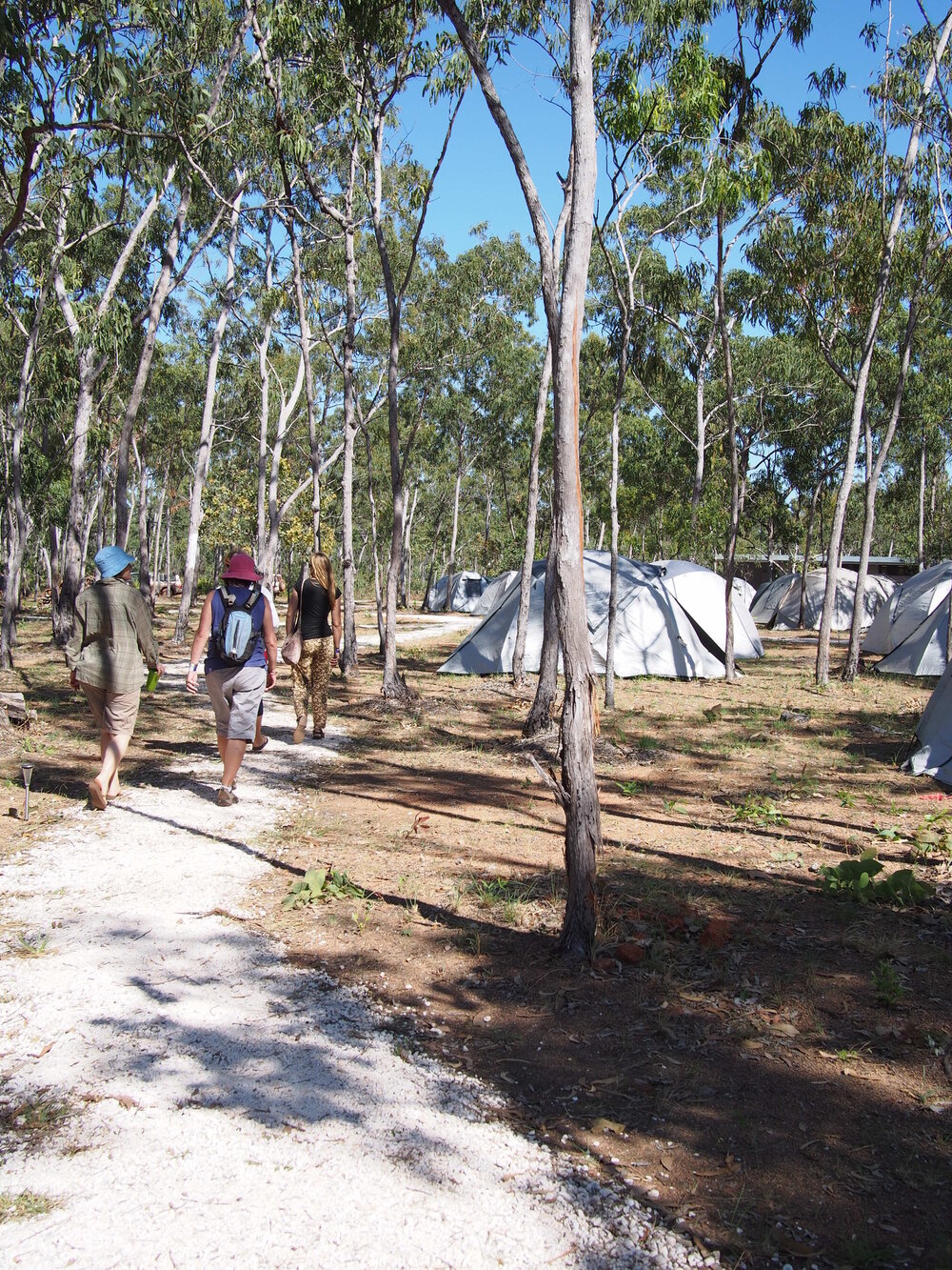 Garma Festival 2013 9