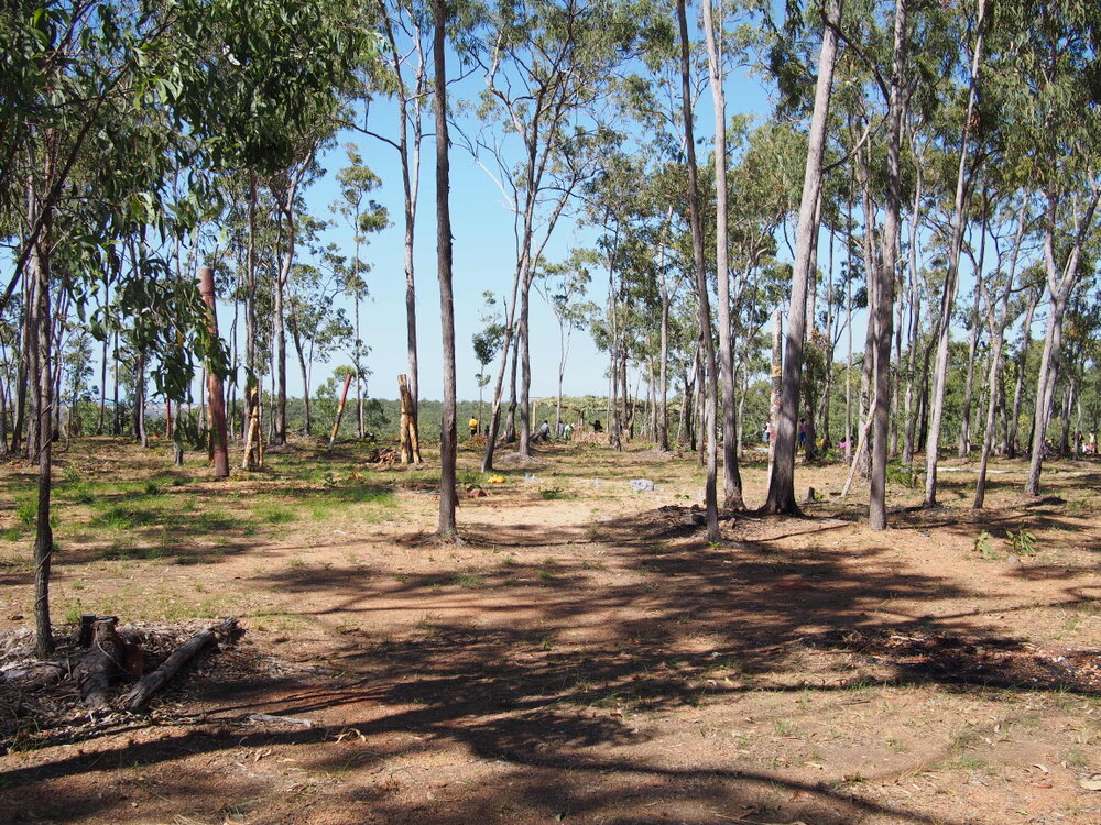 Garma Festival 2013 10