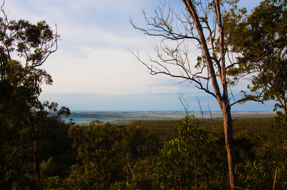 Garma Festival 2013 110