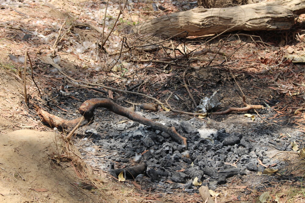 GOO outing locals fire