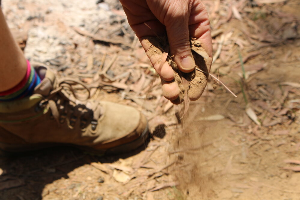 GOO outing soil sample