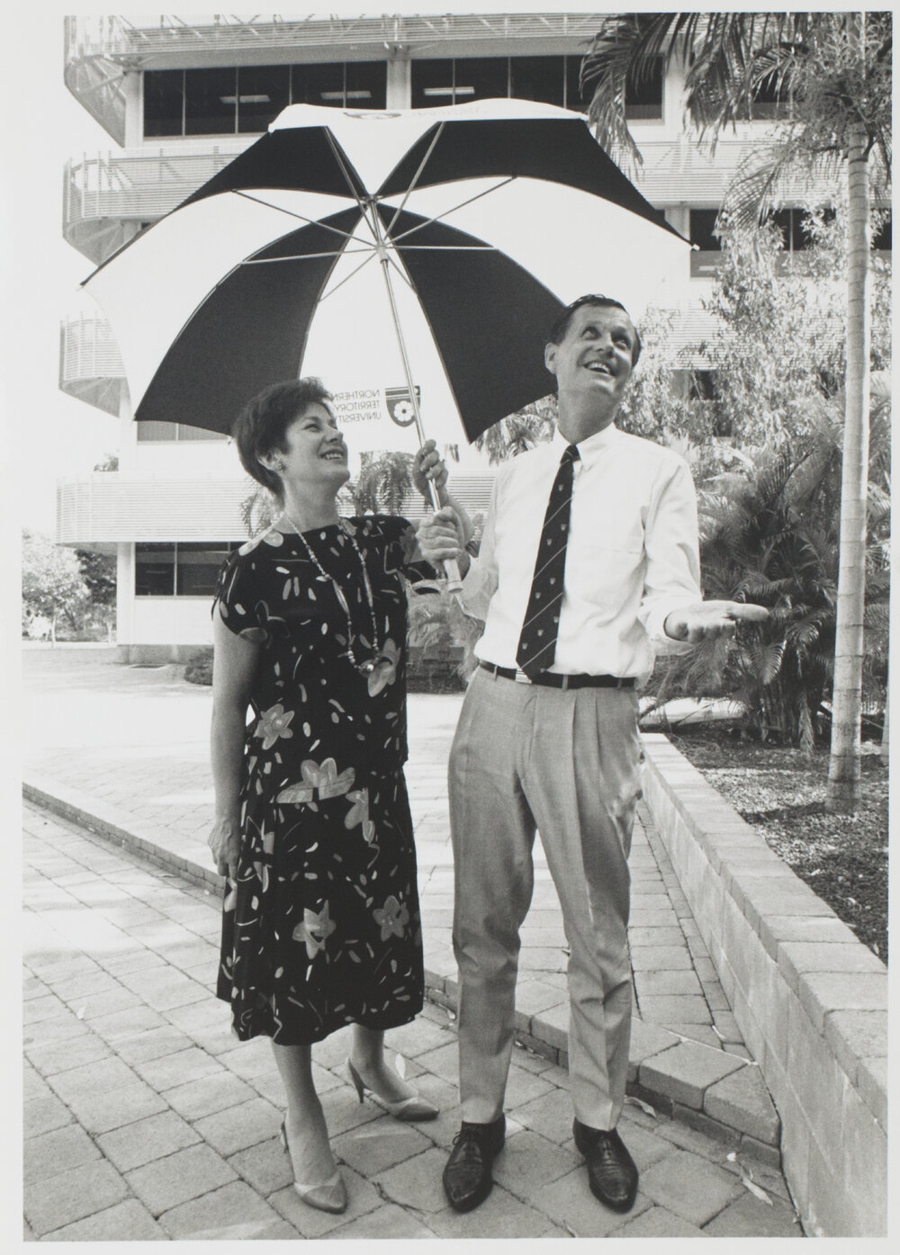 NTU Umbrellas 2