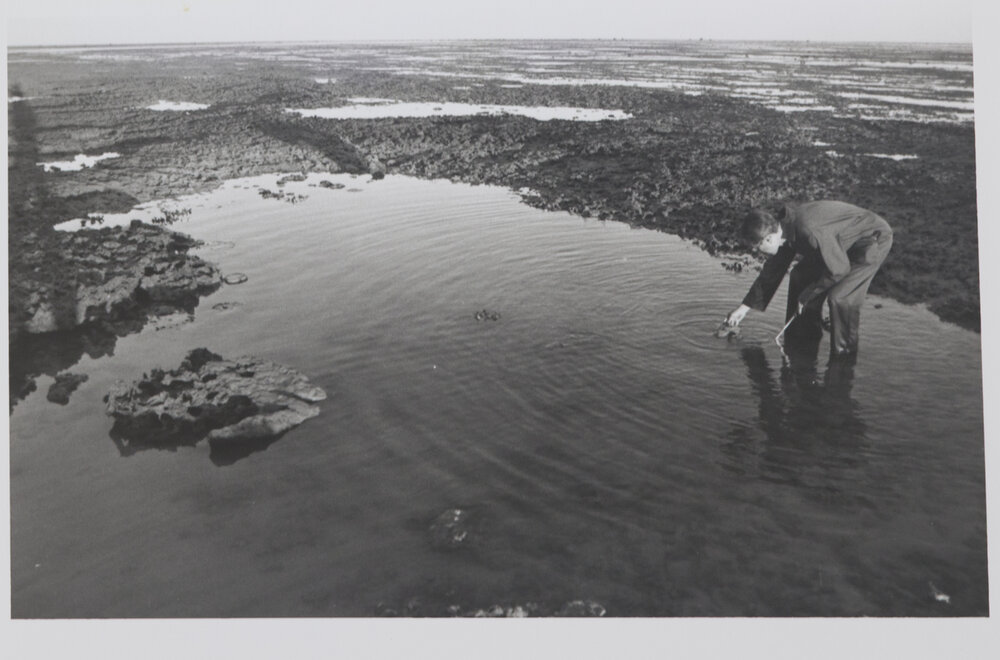Researcher collecting specimans in the field