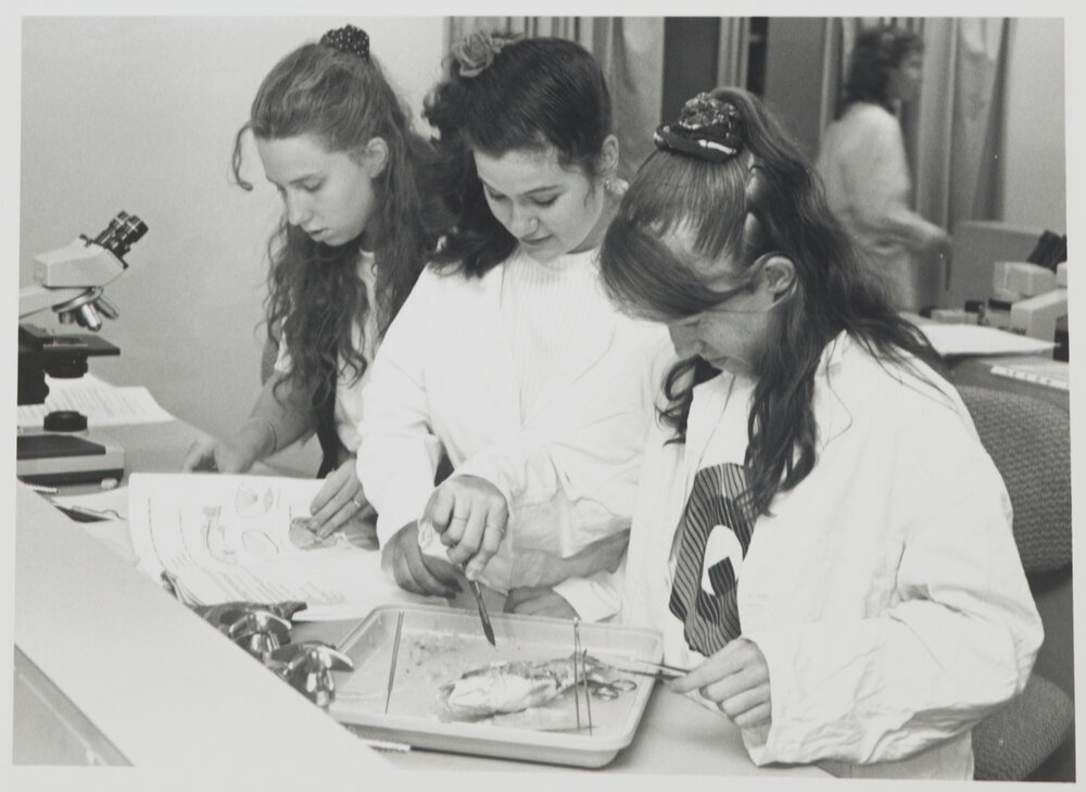 Students doing a dissection in the Biology Laboratory