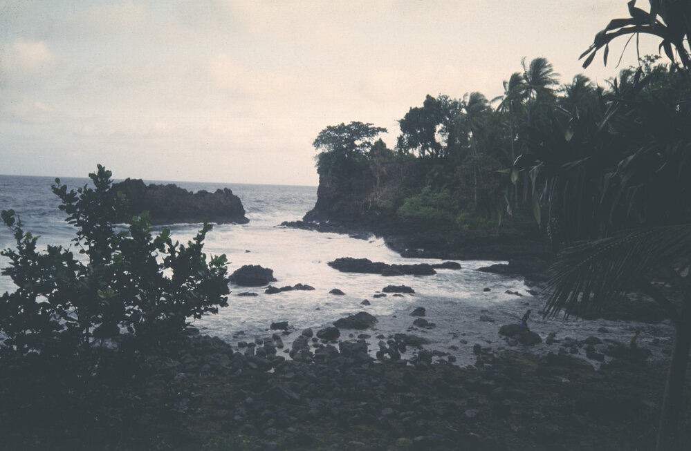 Trip to Ambon for Universitas Pattimura 41