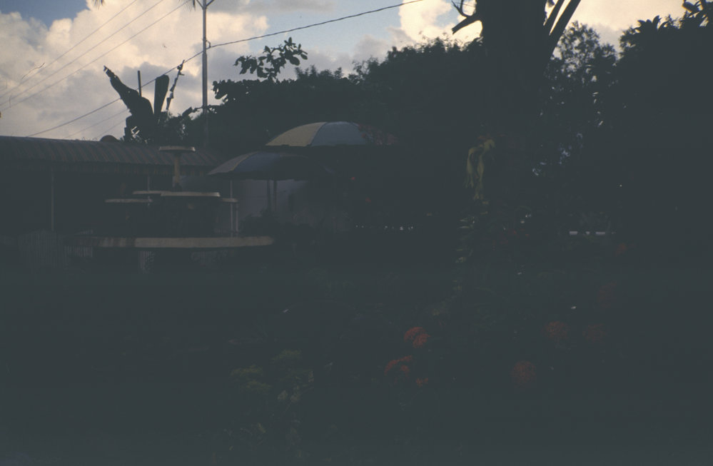 Trip to Kupang for Universitas Nusa Cendana 7