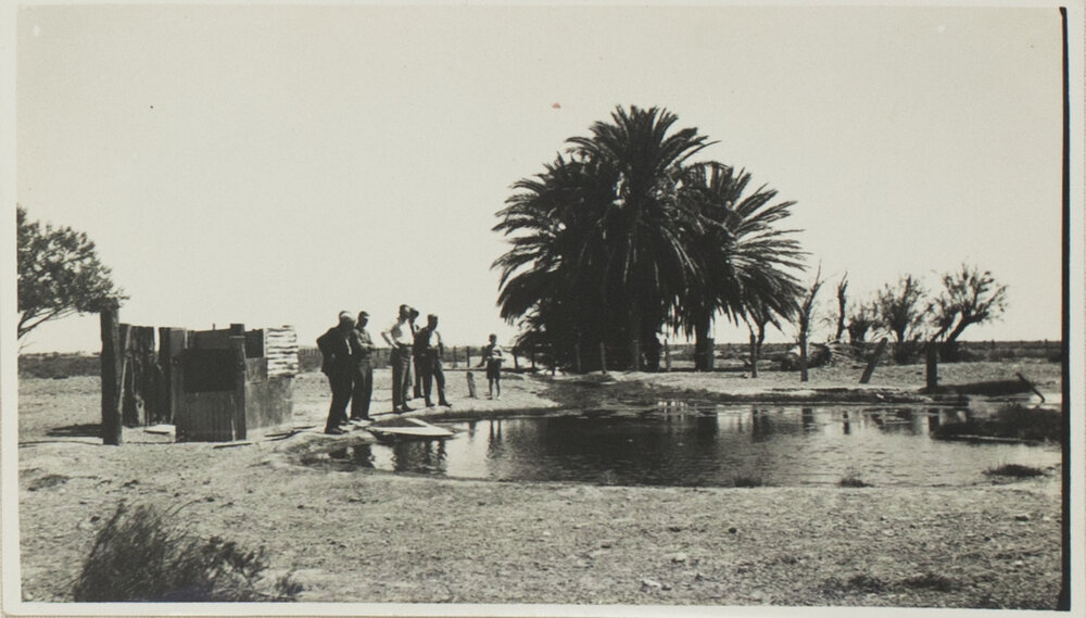 Coward Springs