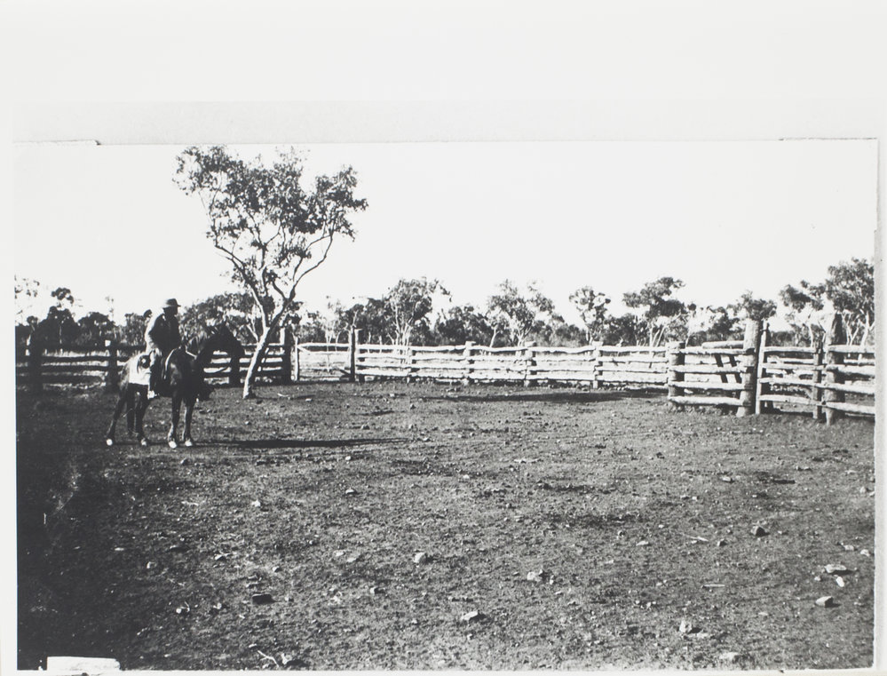Cattle yards near station
