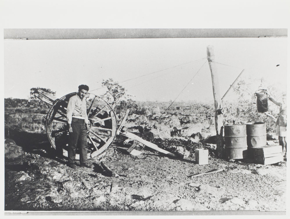 The cook and the pharmacist