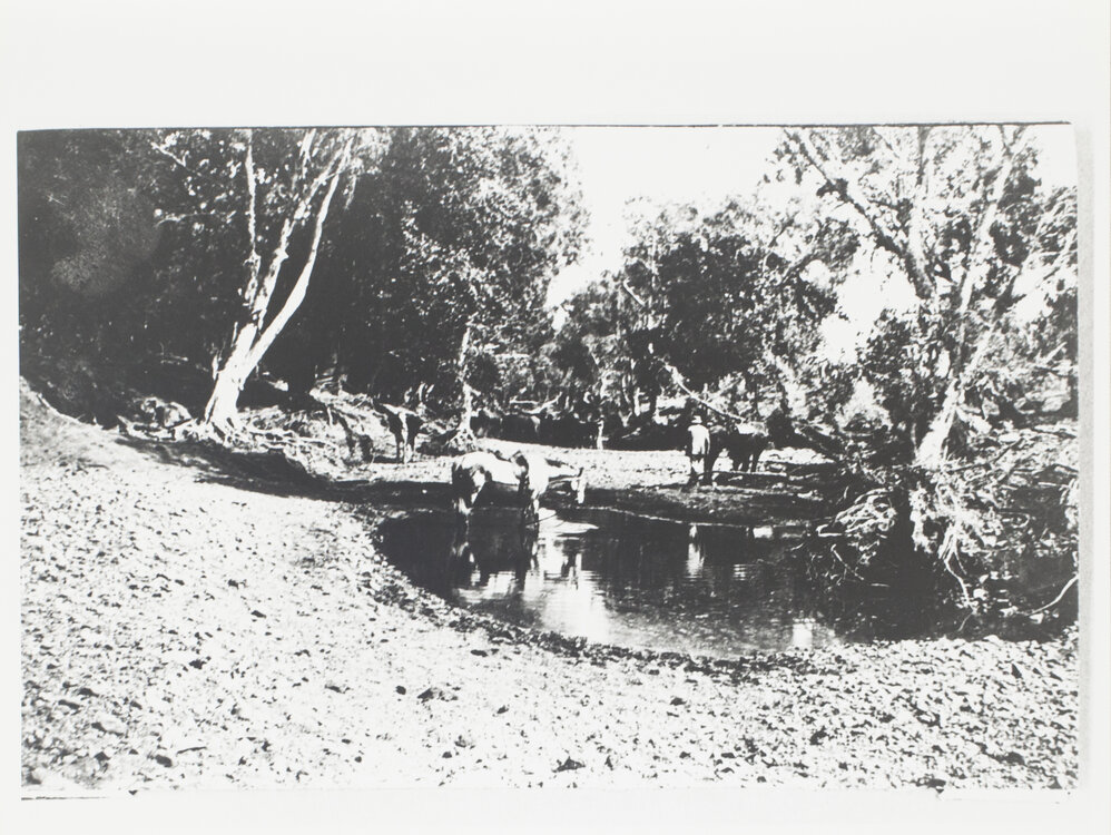 One of many waterholes in Nigri River