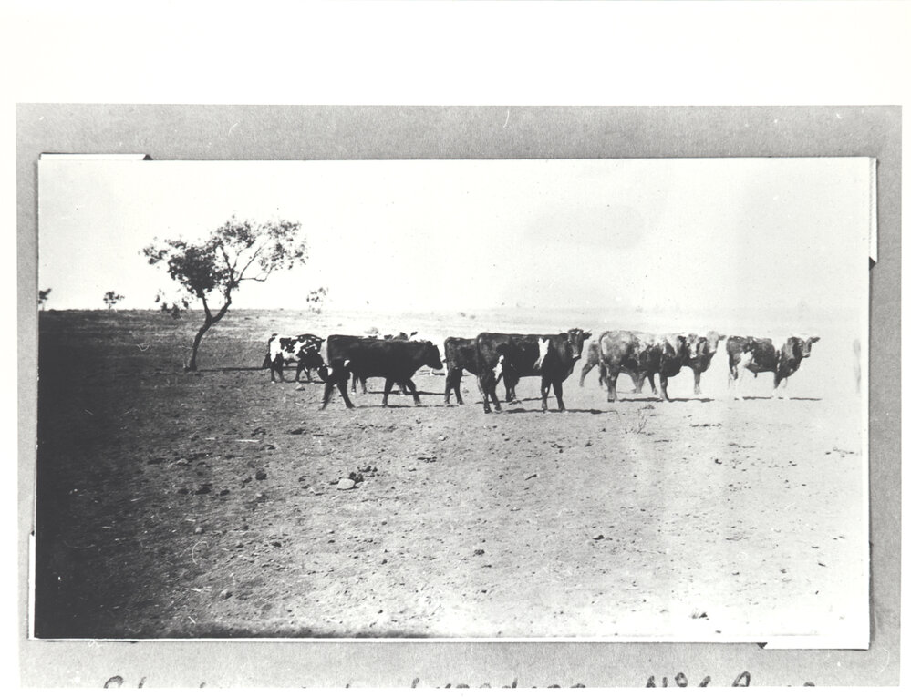 Studs at number four Bore