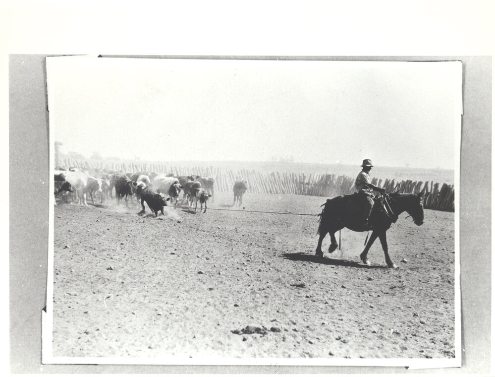 In the Broncho Yard at No. 3 Bore