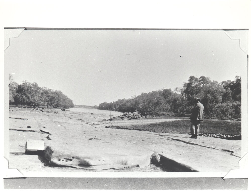 Weaner Crossing on the Victoria River