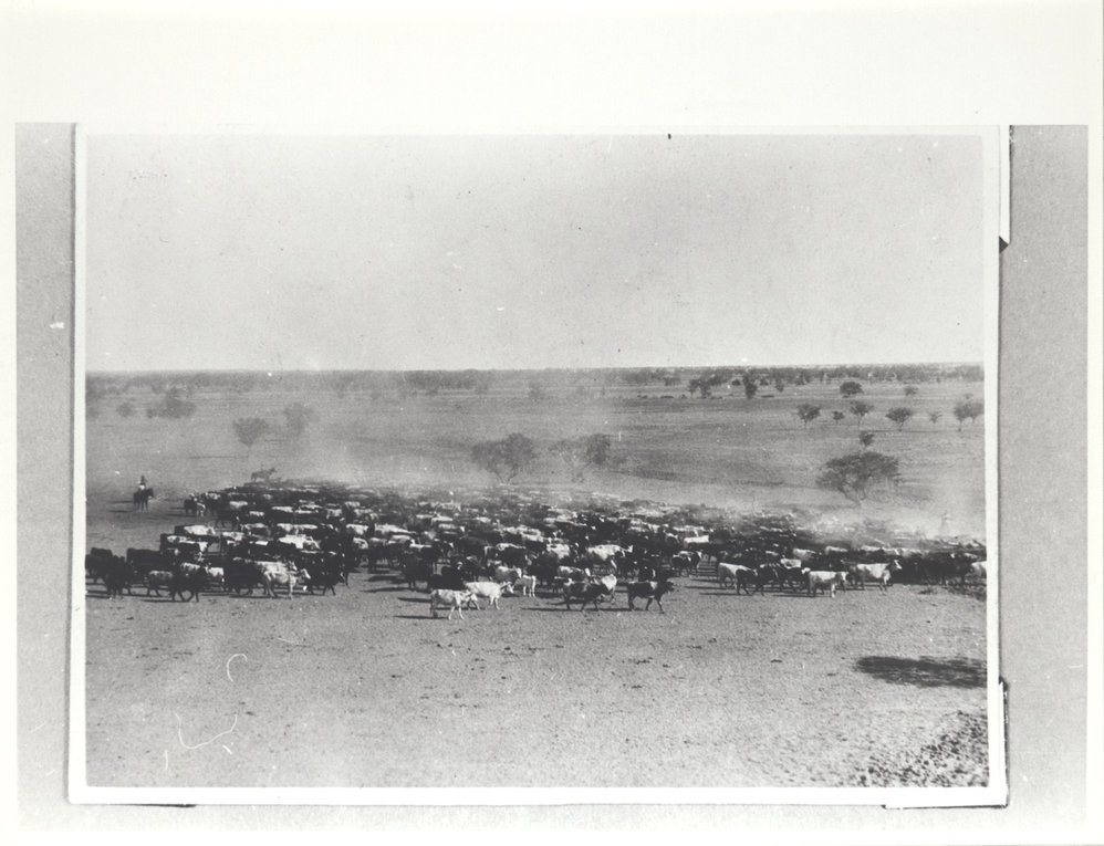 Mustering