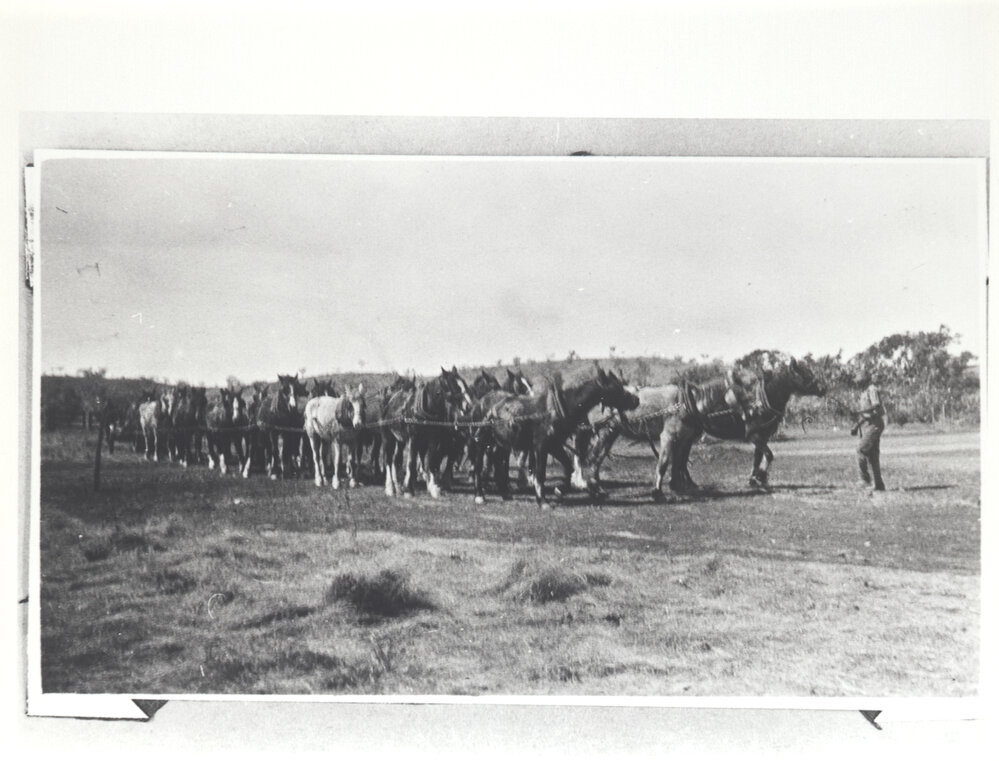 Fireplough and station team