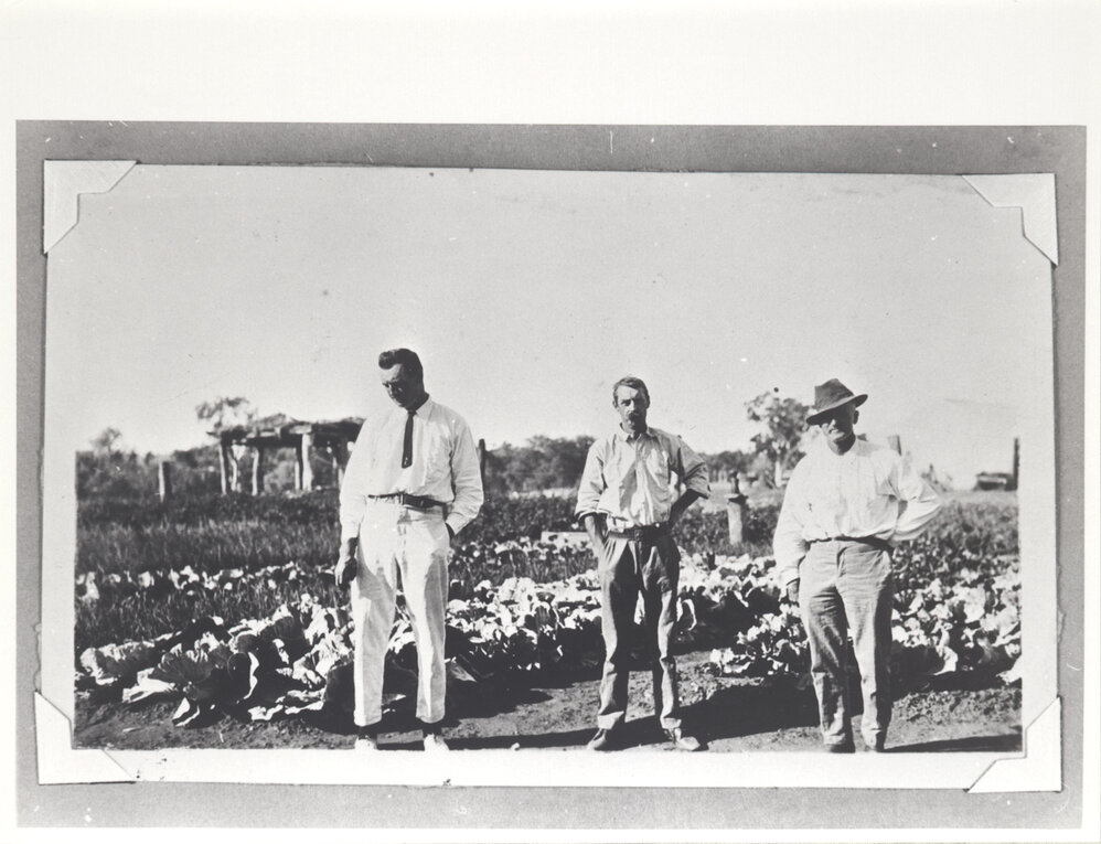Three men in front of vegetable garden