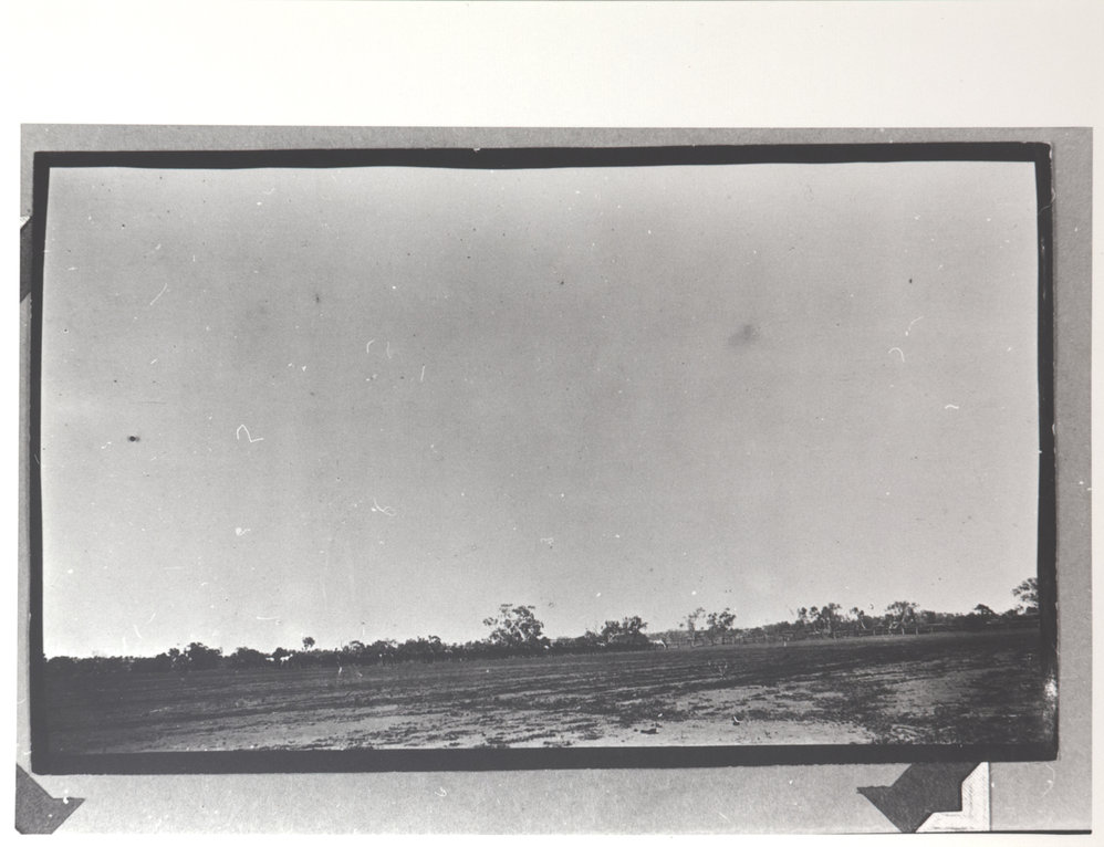 Distance Shot of Horse Muster