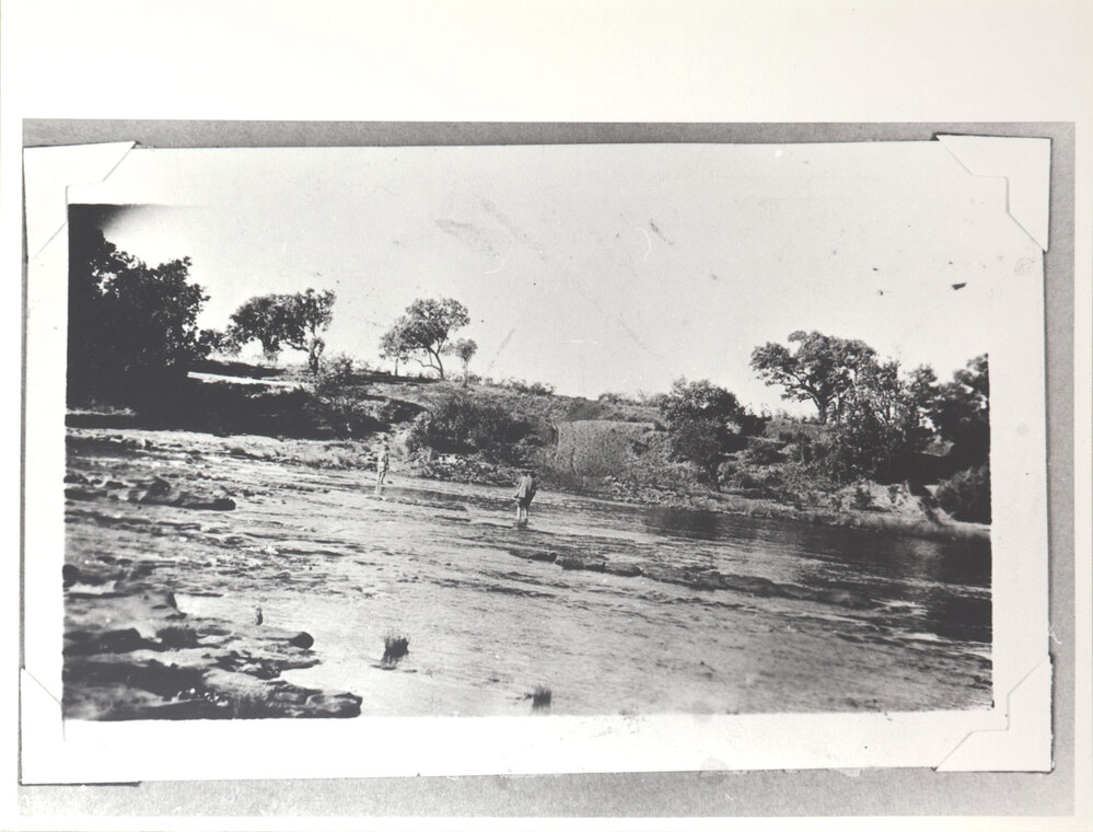 Weaner Crossing Always Difficult. A Concrete Crossing is Being Built 100 Yards Downstream