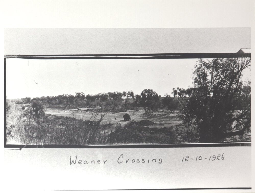 Weaner Crossing 2