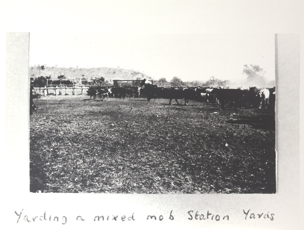 Yarding a Mixed Mob Station Yards