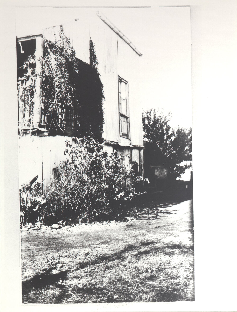 West Side of Homestead