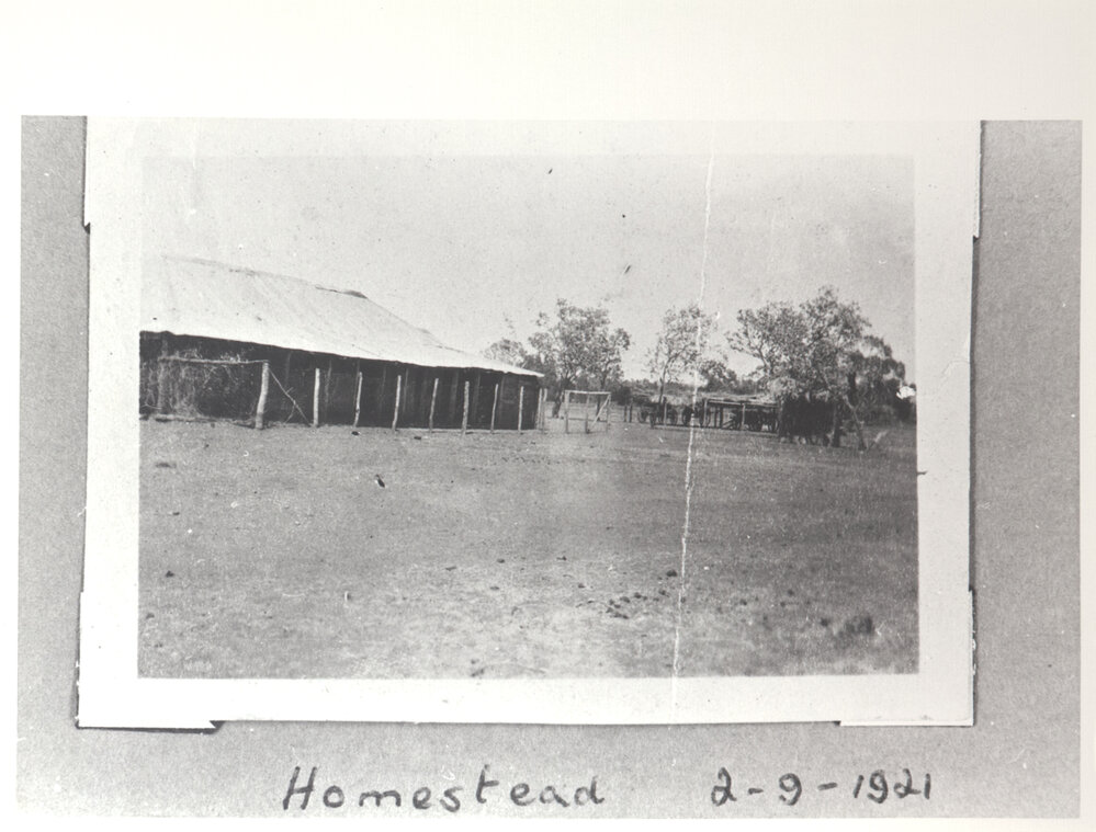 Homestead 3