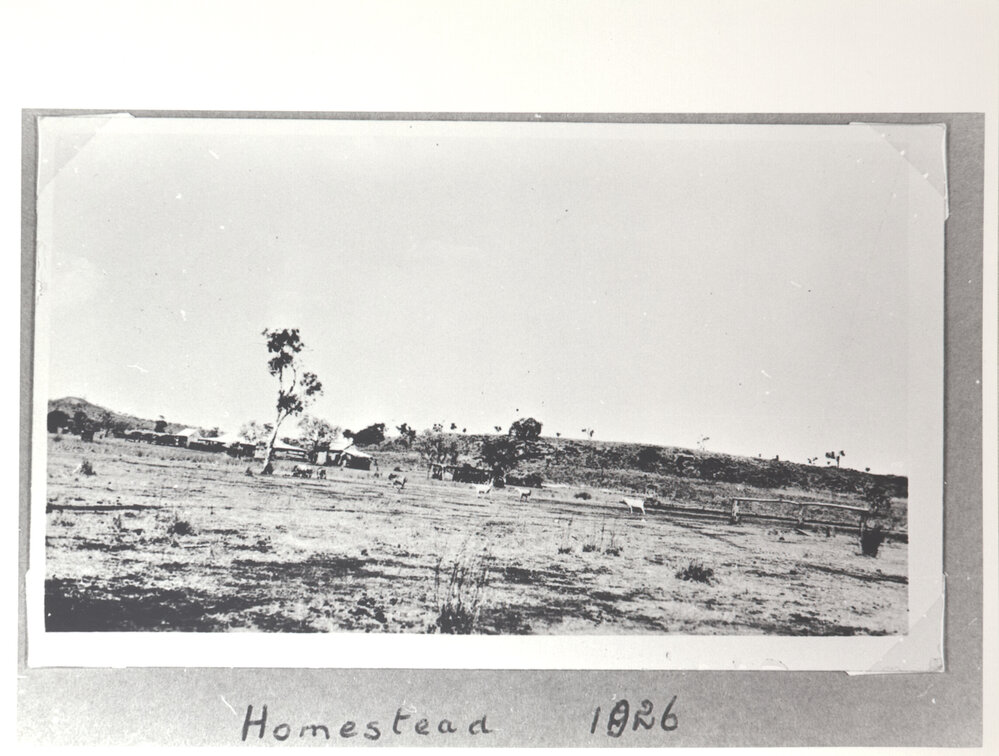 Homestead 4
