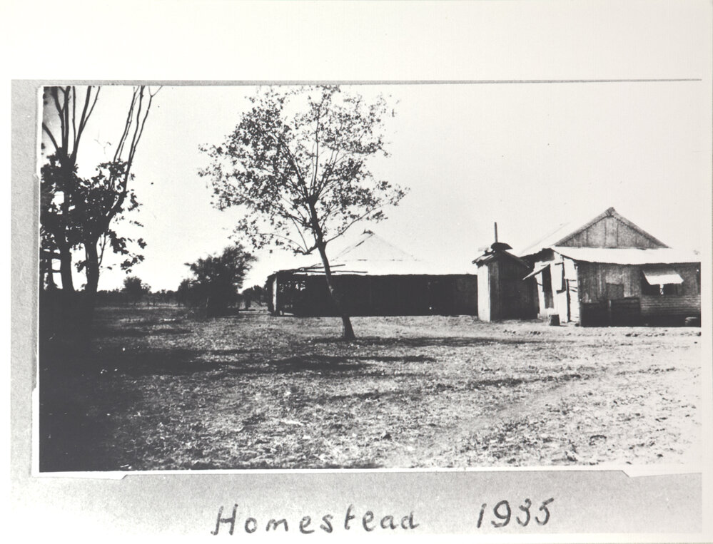Homestead 6