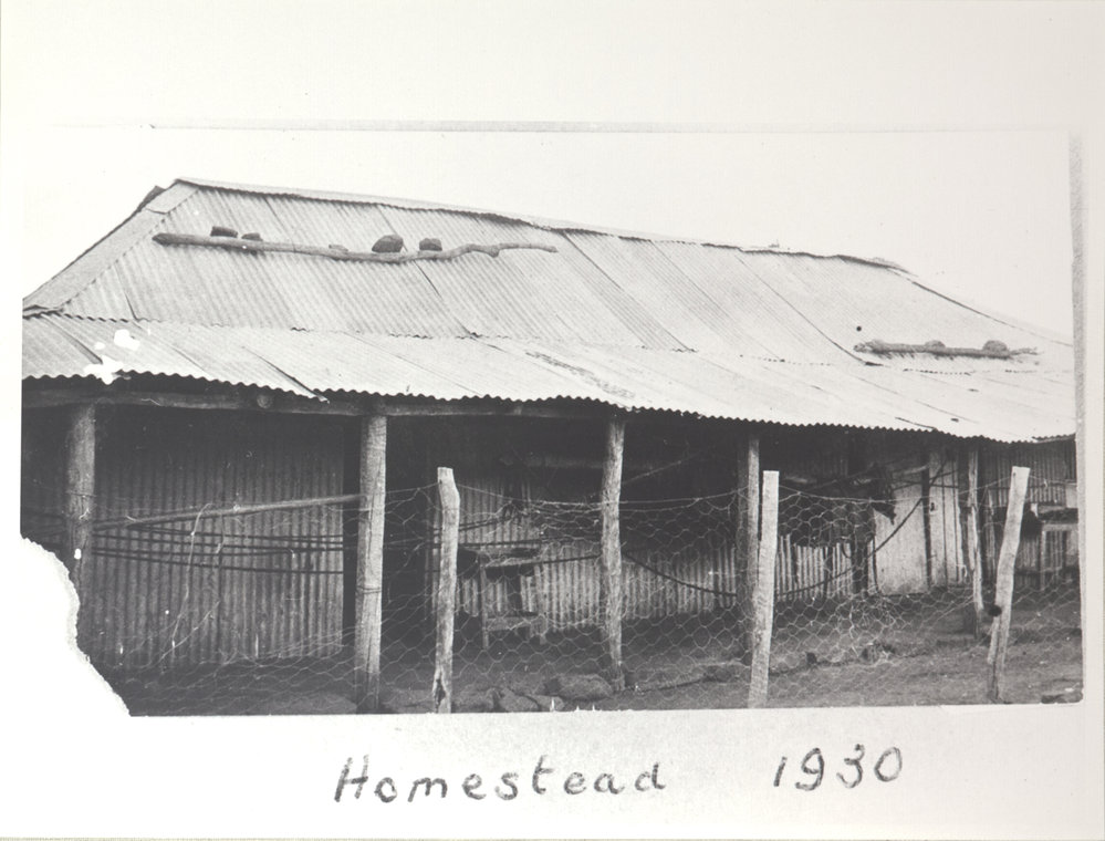 Homestead 5