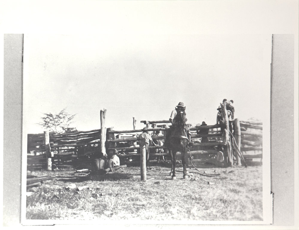 Broncho Branding - Bradshaw's Run