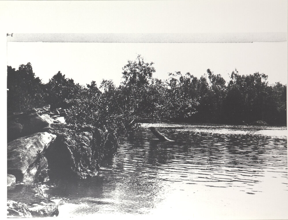 Lowe Pool - Flora River