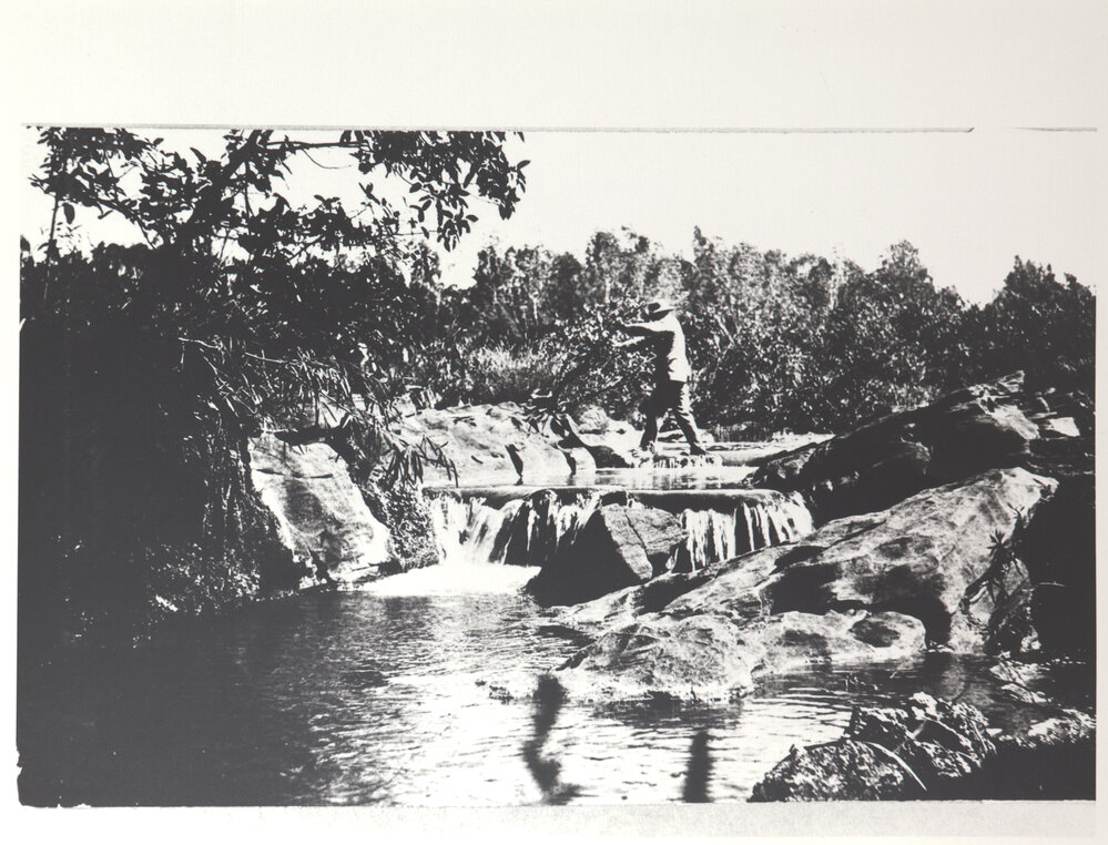 Kathleen Falls - Flora River 2
