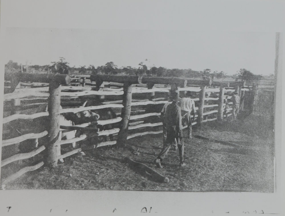 Innoculating for Fleura