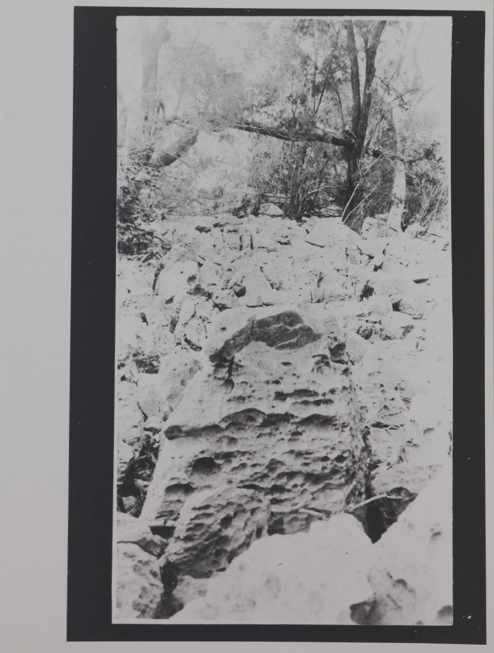 Limestone Creek on Manbullo Road 2