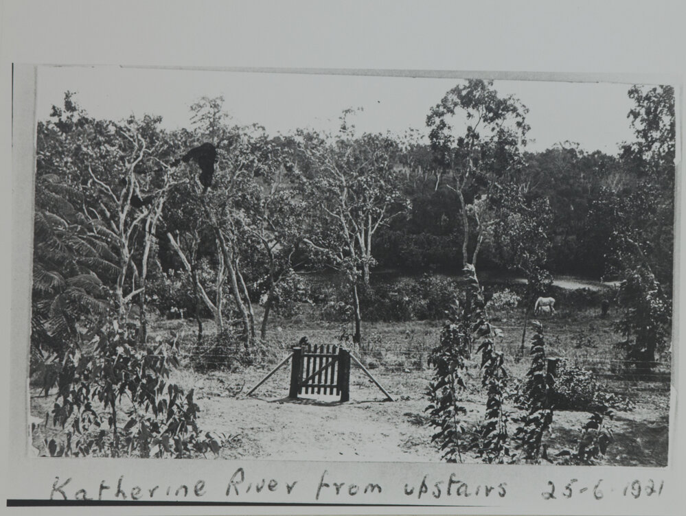 Katherine River from upstairs