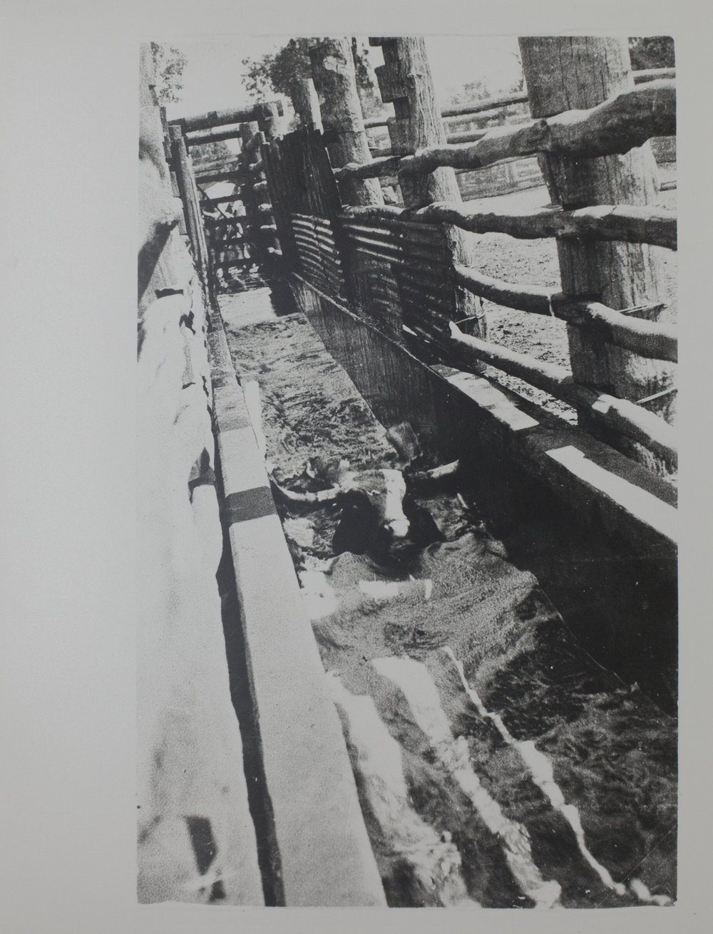 Dip and walk out Manbulloo 1